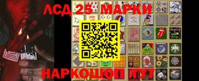гашик Донской