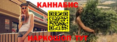 гашик Донской