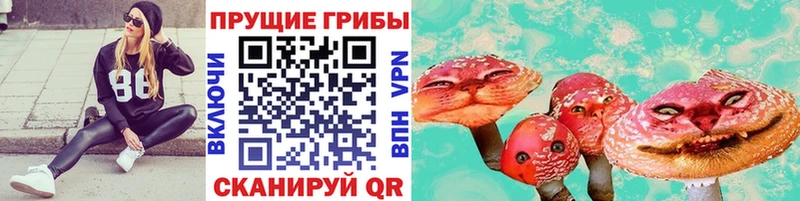 Псилоцибиновые грибы мухоморы  купить наркоту  Новомосковск 