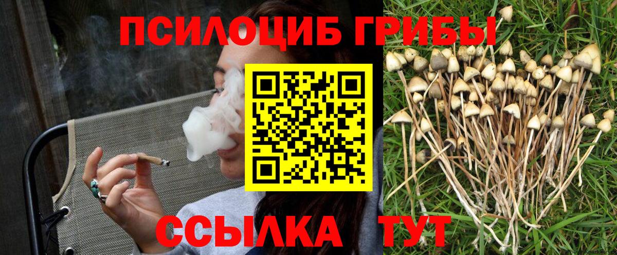 Новомосковск  Псилоцибиновые грибы GOLDEN TEACHER  Галлюциногенные грибы мухоморы  Вход с VPN 